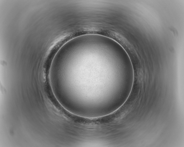 X0000091230731200708091417