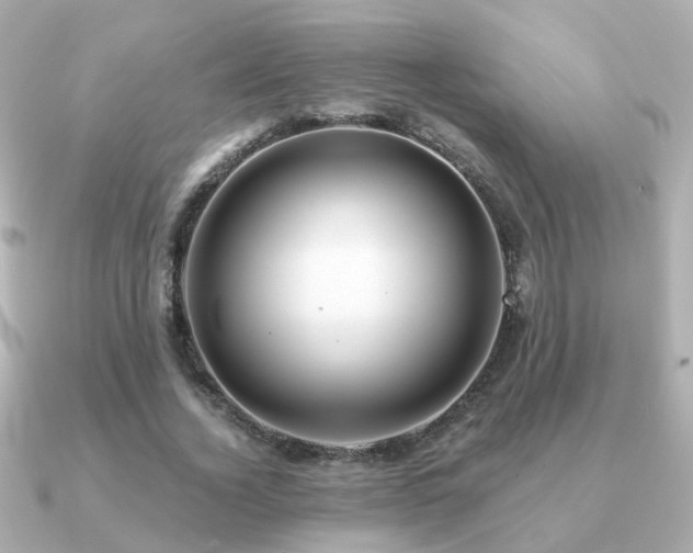 X0000091230732200708091417