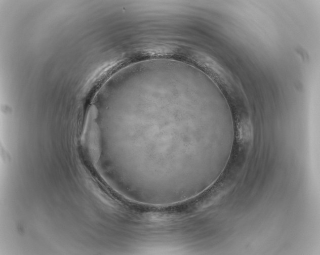 X0000091230733200708091417