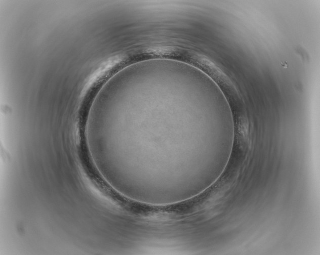 X0000091230734200708091417