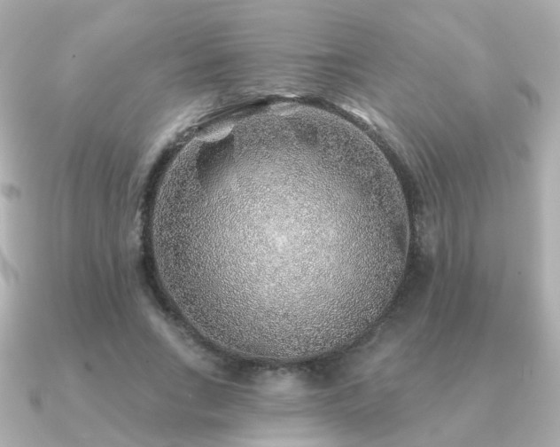 X0000091230735200708091417