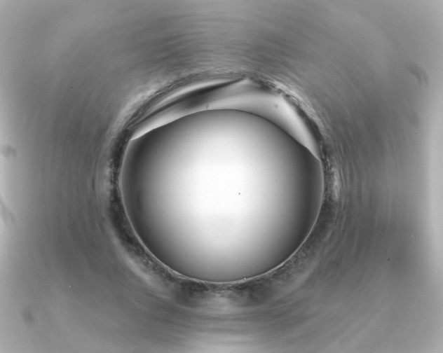 X0000091230736200708091417