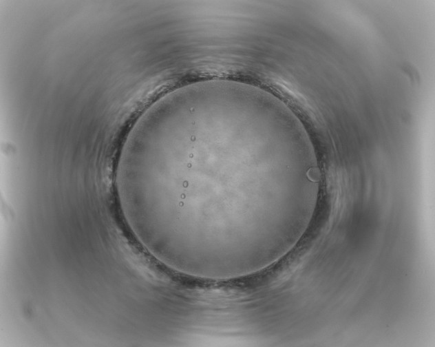 X0000091230737200708091417