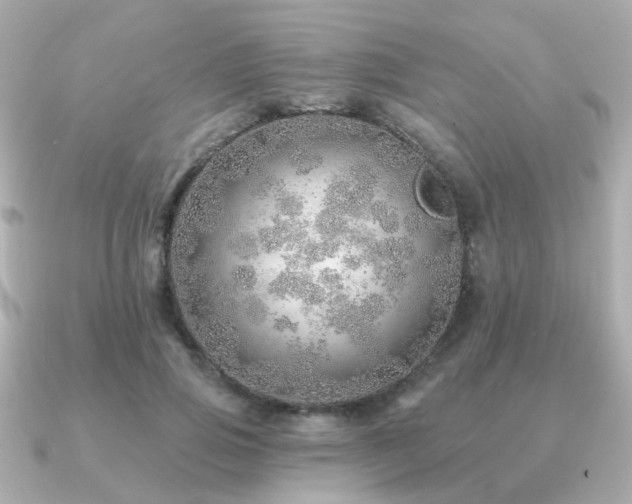 X0000091230741200708091417