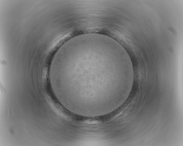 X0000091230742200708091417