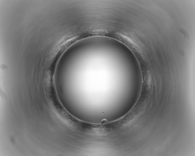 X0000091230744200708091417