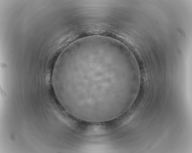 X0000091230745200708091417