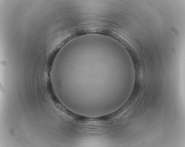 X0000091230746200708091417