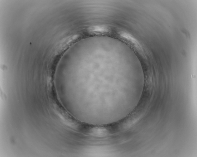 X0000091230749200708091417