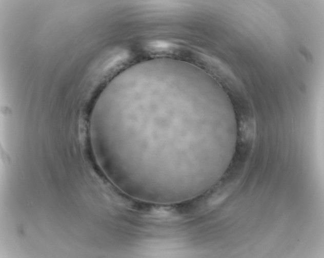X0000091230753200708091417
