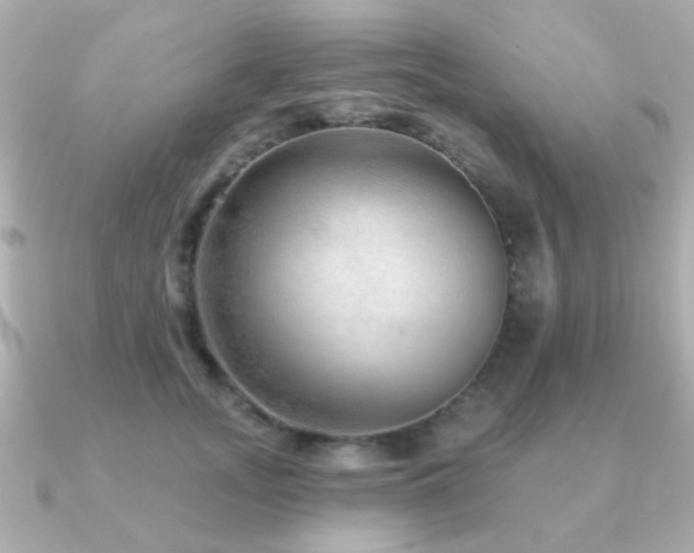 X0000091230755200708091417