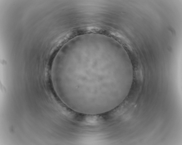 X0000091230757200708091417