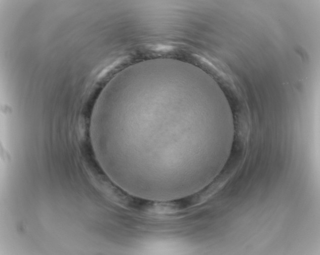 X0000091230758200708091417
