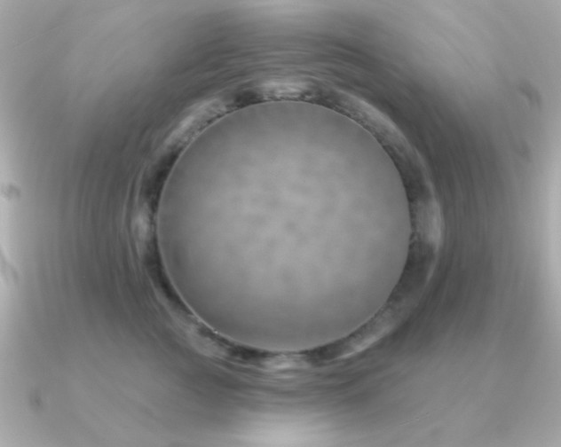 X0000091230761200708091417
