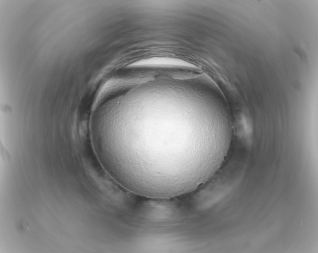 X0000091230763200708091417