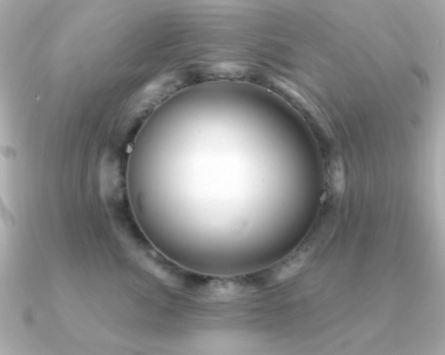 X0000091230764200708091417