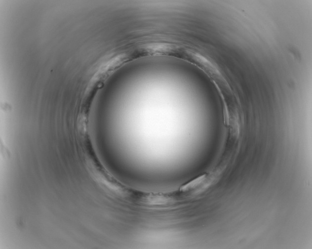 X0000091230766200708091417