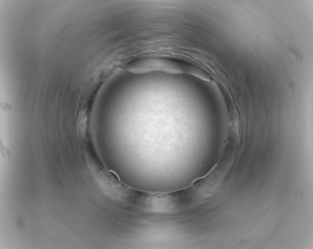 X0000091230767200708091417