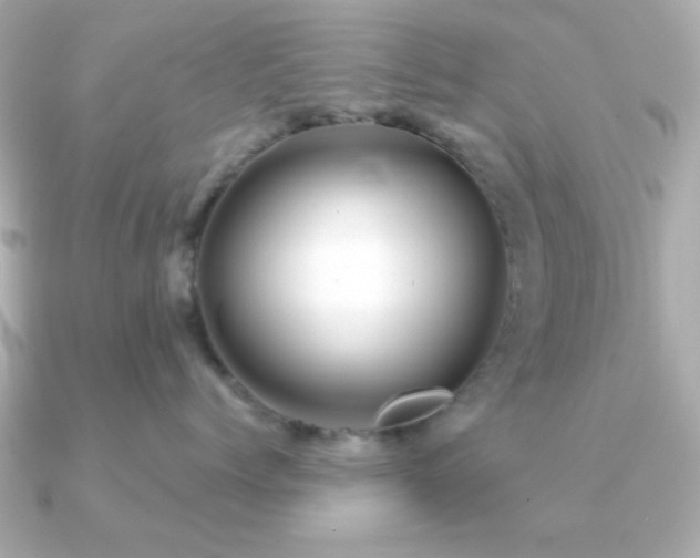 X0000091230768200708091417