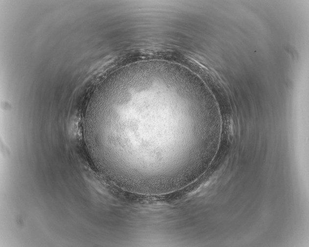 X0000091230770200708091417