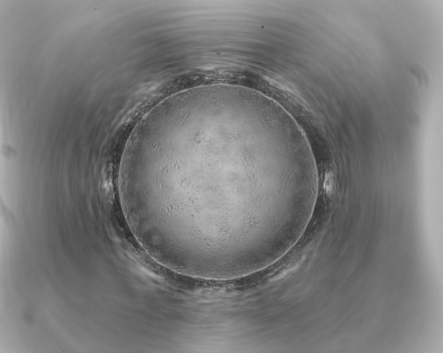 X0000091230771200708091417