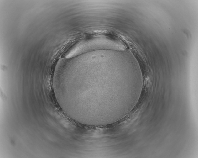 X0000091230772200708091417