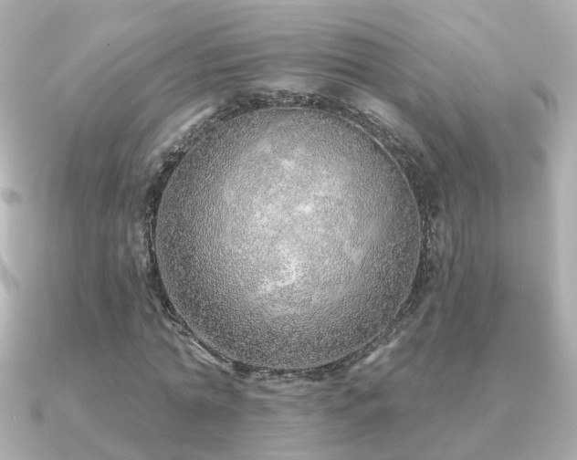 X0000091230774200708091417
