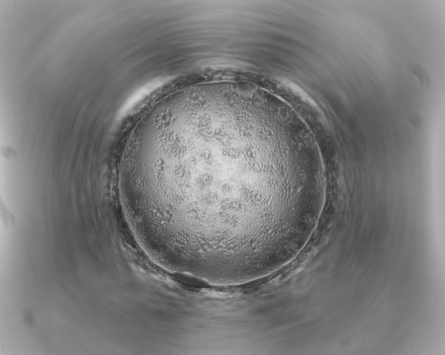 X0000091230775200708091417