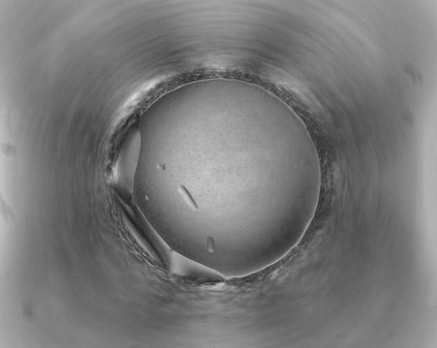 X0000091230776200708091417