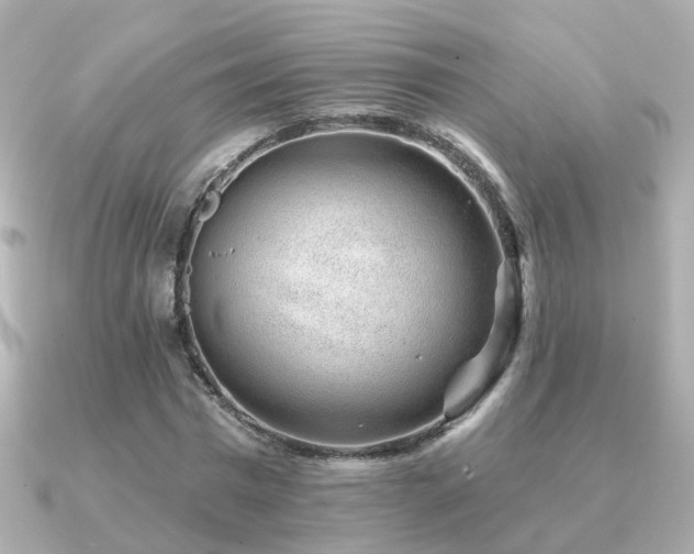 X0000091230777200708091417