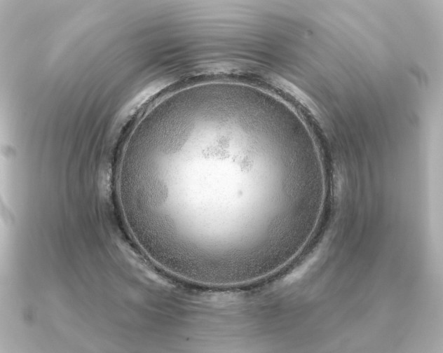 X0000091230778200708091417