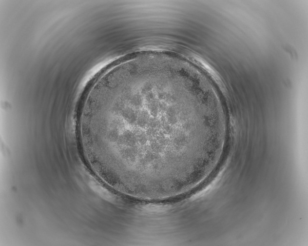 X0000091230779200708091417
