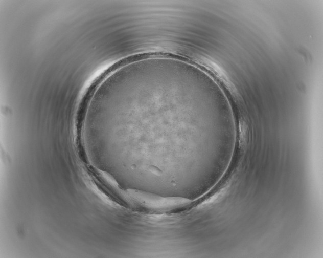 X0000091230780200708091417