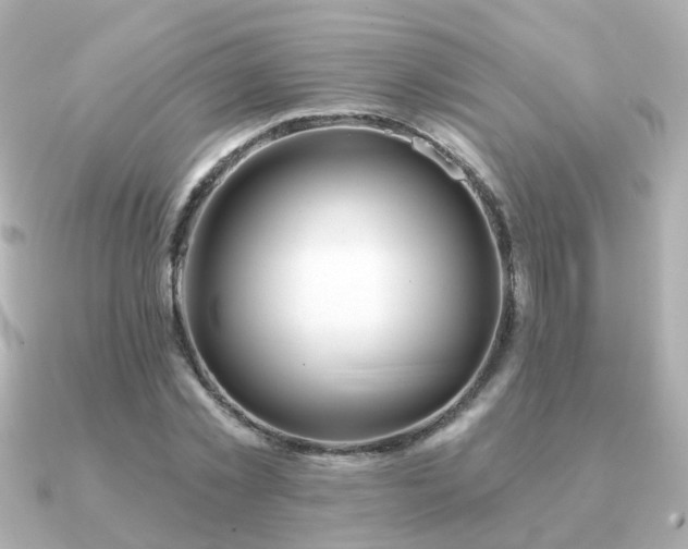 X0000091230781200708091417