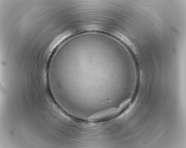 X0000091230782200708091417