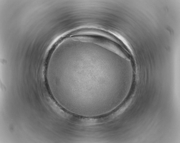 X0000091230783200708091417