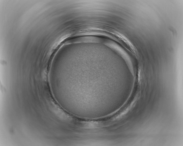 X0000091230785200708091417