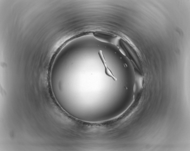 X0000091230786200708091417