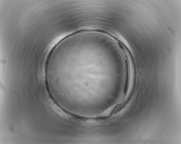 X0000091230787200708091417