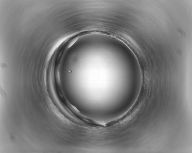 X0000091230788200708091417
