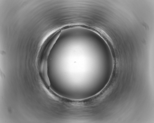 X0000091230789200708091417