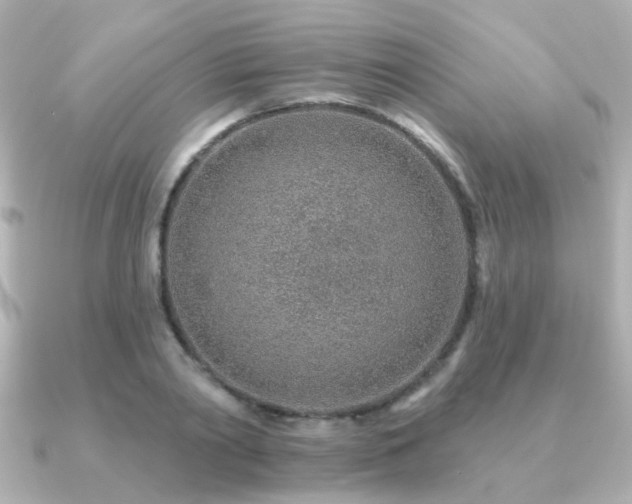 X0000091230790200708091417