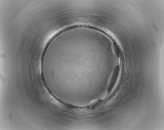 X0000091230791200708091417