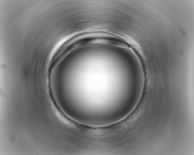 X0000091230792200708091417