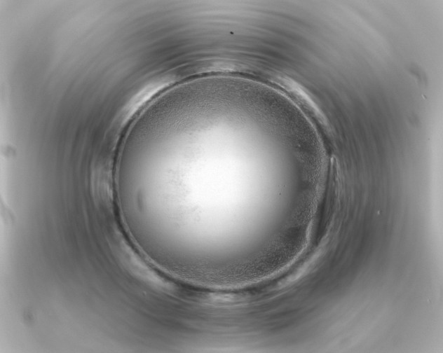X0000091230794200708091417