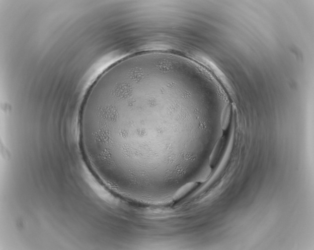 X0000091230795200708091417