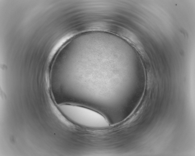 X0000091230796200708091417