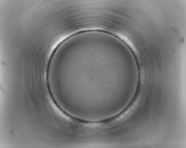 X0000091230797200708091417