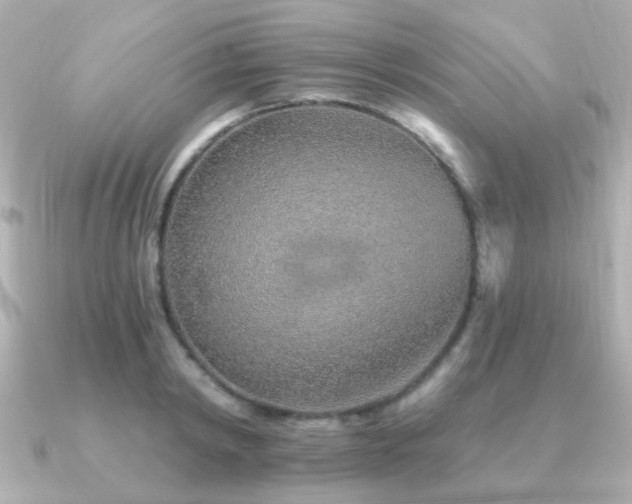 X0000091230798200708091417