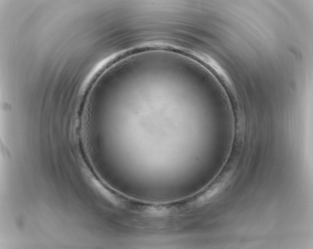 X0000091230799200708091417